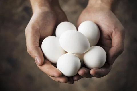 Fresh eggs Foto stock