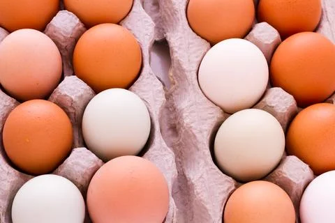 Fresh eggs Stock Photos