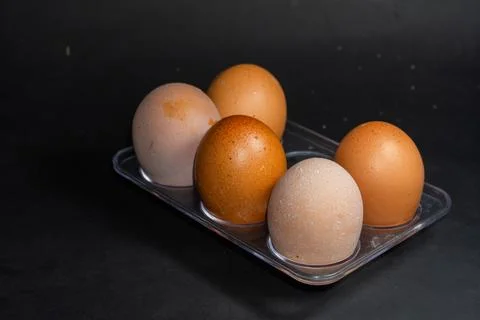 Fresh eggs rest in a clear plastic tray Stock Photos