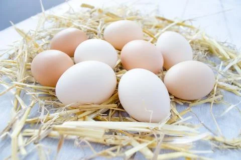 Fresh eggs on a straw Stock Photos