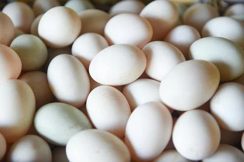 Fresh eggs texture background/ produce eggs fresh from the farm organic - d.. Stock Photos