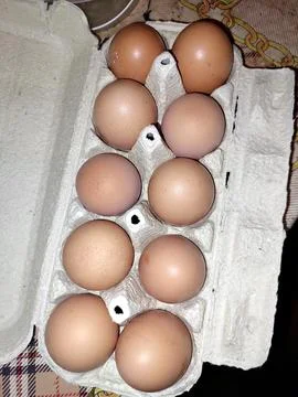 Fresh Eggs in a Tray Arranged on a Table Ready for Cooking or Baking at Home Stock Photos