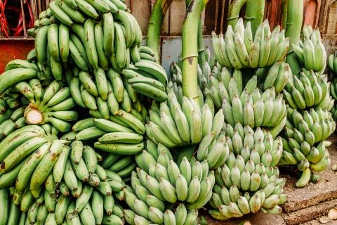 Fresh, eipe and healthy: bananas in a large variety at a market stand in Yang Foto stock