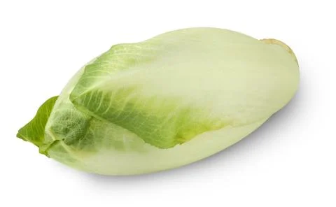 Fresh endive Foto stock