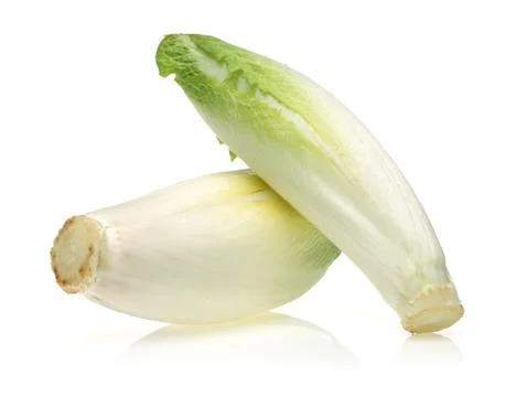 Fresh endive on white background Stock Photos