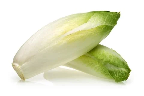 Fresh endive on white background Stock Photos