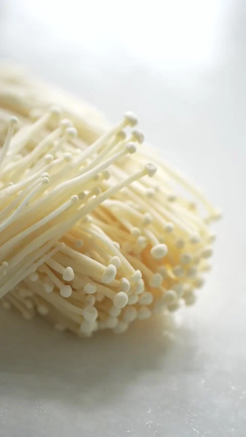 Fresh enoki mushrooms on a white surface Stock Footage 339060532