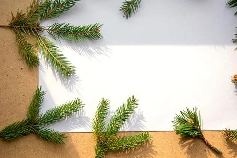 Fresh evergreen branches frame a blank sheet of paper resting on a wooden sur Stock Photos