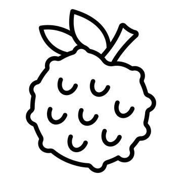 Fresh exotic lychee fruit with leaves and stem growing naturally Stock Illustration