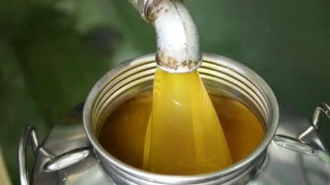 Fresh extra vergin olive oil falling in recipient Stock Footage 140217455