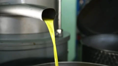 Fresh extra virgin olive oil falling in recipient, extracted olive oil Stock Footage 140216830
