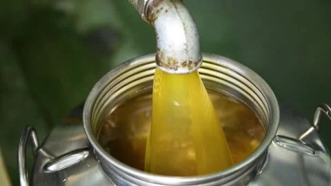 Fresh extra virgin olive oil falling in recipient, extracted olive oil Stock Footage 140217040