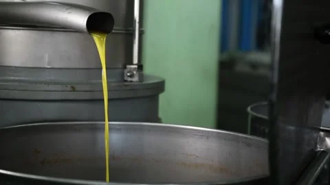 Fresh extra virgin olive oil falling in recipient, extracted olive oil Stock Footage 140218316