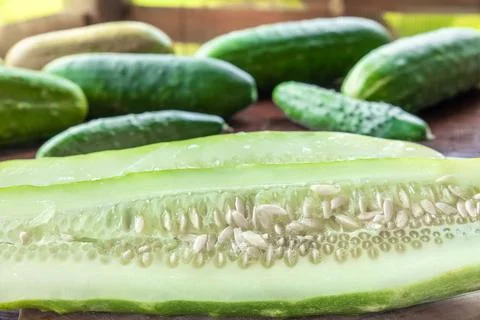 Fresh farm cucumbers on an old table. Stock Photos