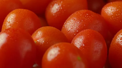 Fresh Ferdinand type Spanish Cherry Tomatoes covered with water drops Stock Footage 170611478