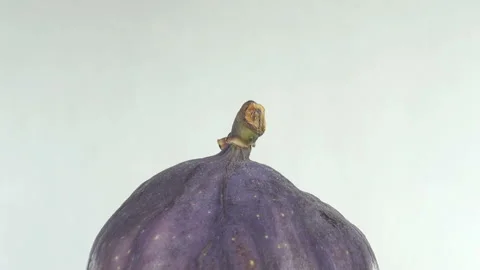 Fresh fig fruit rotate Stock Footage 154858380