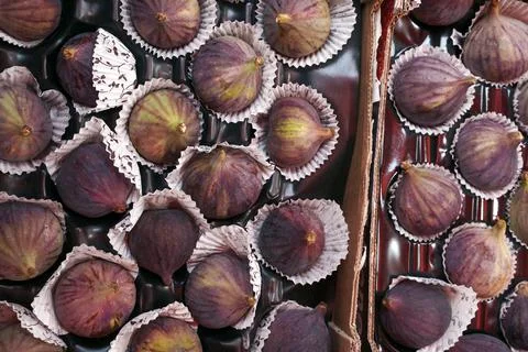 Fresh figs in a box Stock Photos