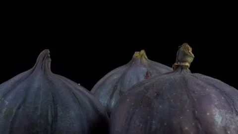 Fresh figs fruit rotate Stock Footage 145436467