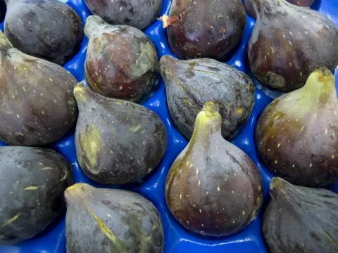 Fresh Figs Stock Photos