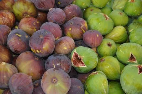Fresh figs Stock Photos