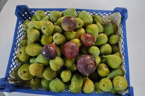 Fresh figs Foto stock