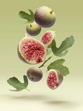 Fresh figs Stock Photos