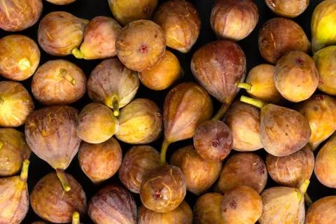 Fresh Figs Texture Background Stock Photos