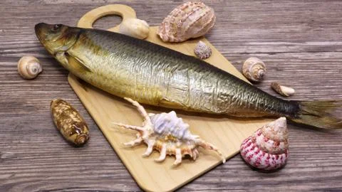 Fresh fish and shell on a cutting board. Stock Photos