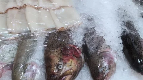 Fresh fish and squid carcasses close-up on ice in a hypermarket or at a local ma Stock Footage 308018579