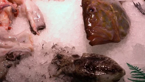 Fresh fish and squid on a store counter in snow Video stock 116266359