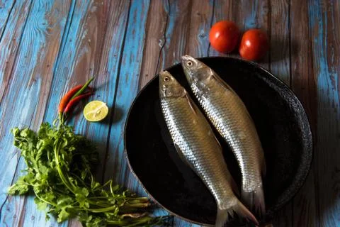 Fresh fish on a background. Stock Photos