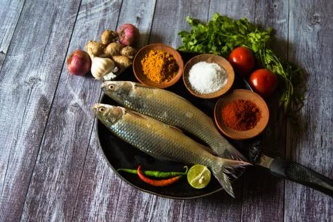 Fresh fish on a background Stock Photos