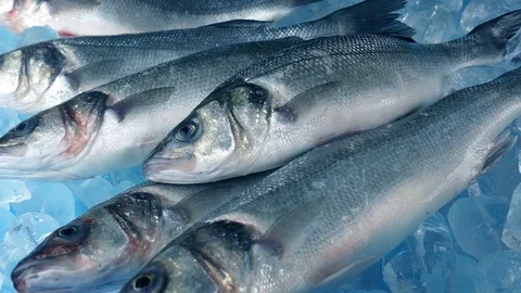 Fresh Fish Catch On Ice Moving Shot 스톡 동영상 88174687