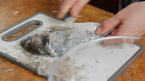 Fresh Fish Cleaning Stock Footage 146632796