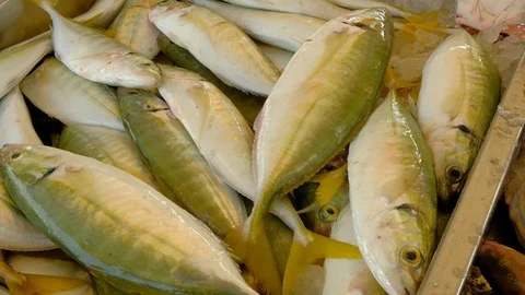 Fresh fish closeups Video stock 125331106