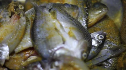 Fresh fish coated in spices ready to be cooked Stock Footage 290885252