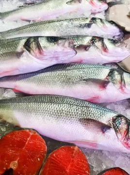Fresh fish on the counter at a fish store. Foto stock