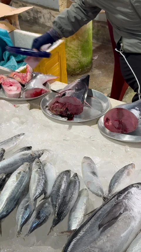Fresh fish cuts and tuna parts at traditional Vietnamese fish market. Video stock 327844593