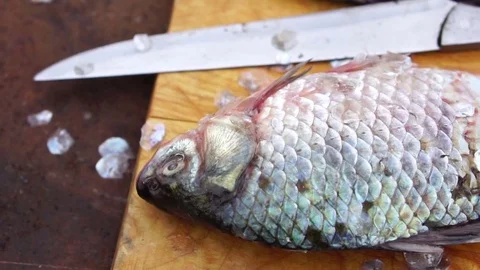 Fresh fish on a cutting board with a knife. Stock Footage 80050151