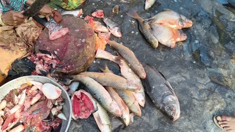 Fresh Fish Display and Cutting Area at Local Market Stock Footage 323302622