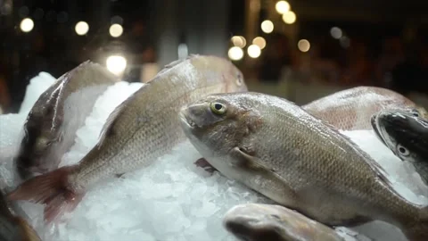 Fresh Fish on Display Video stock 296819757