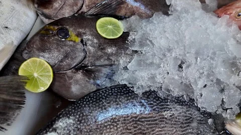 Fresh Fish Display on Ice at Phuket Seafood Market Stock Footage 336389834