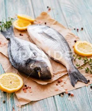 Fresh fish dorado Stock Photos