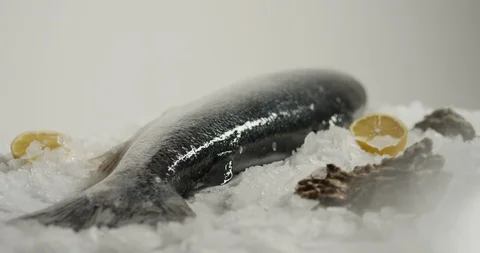 Fresh fish falls into ice 4k Stock Footage 95239302