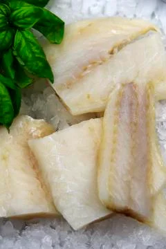Fresh Fish Fillets Stock Photos