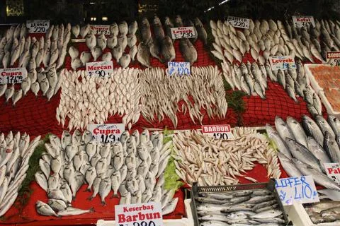 Fresh fish at the fish stall Stock Photos