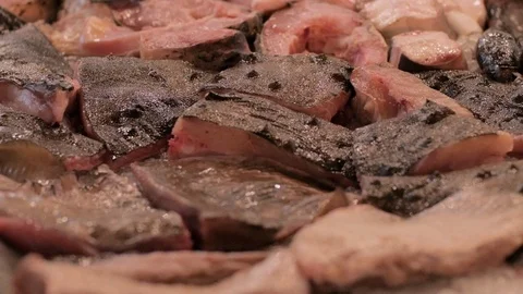 Fresh fish Stock Footage 92729384