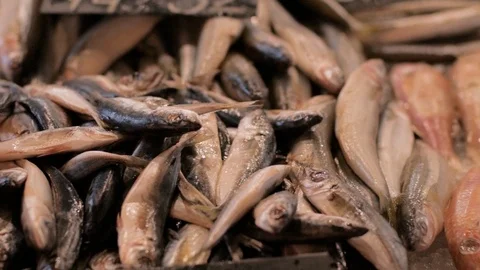 Fresh fish Video stock 92729441