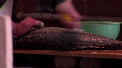 Fresh Fish Stock Footage 139480475