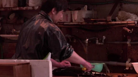 Fresh Fish Stock Footage 139480490